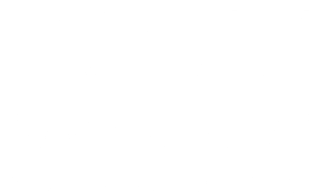 BIRD'S EYE VIEW OF KAGOSHIMA